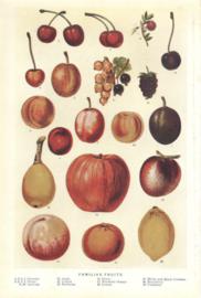 Familiar Fruits Familiar Fruits